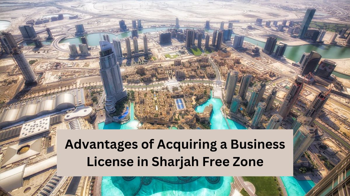 Advantages of Acquiring a Business License in Sharjah Free Zone